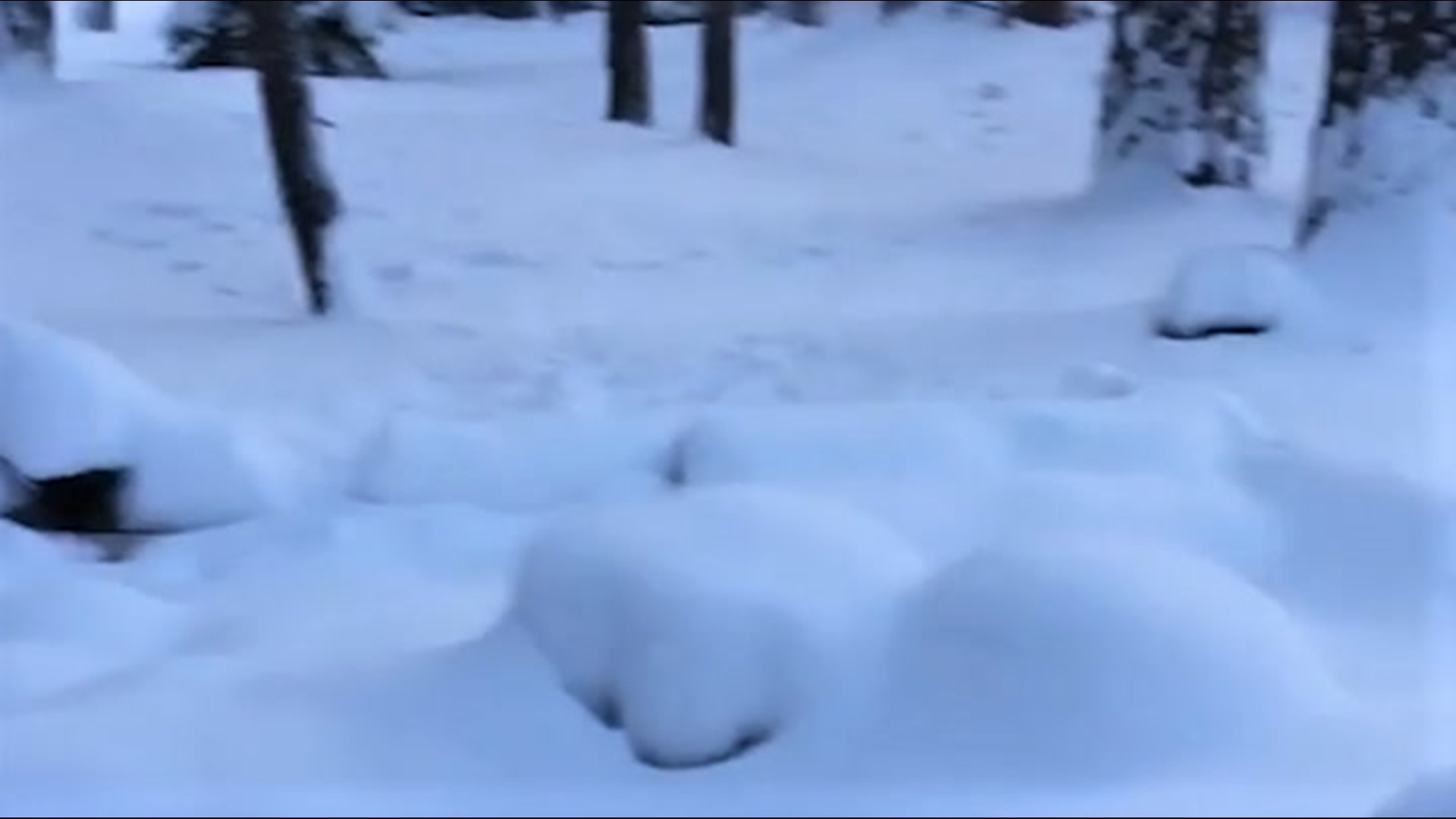 On Monday, March 6, a heavy load of snow arrived in Lake Tahoe, California.