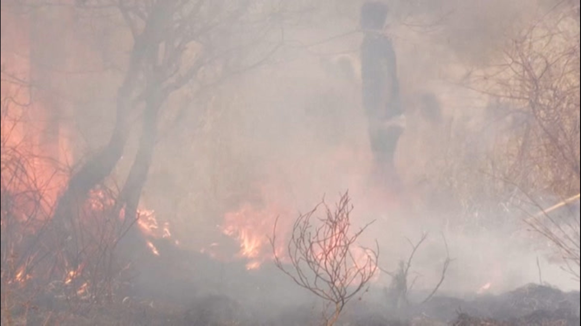 Volunteers raced to battle a wildfire raging in Tsavo National Park in Tsavo, Kenya, on Aug. 9, as the fire scorched through the park. The fire is said to now be contained.