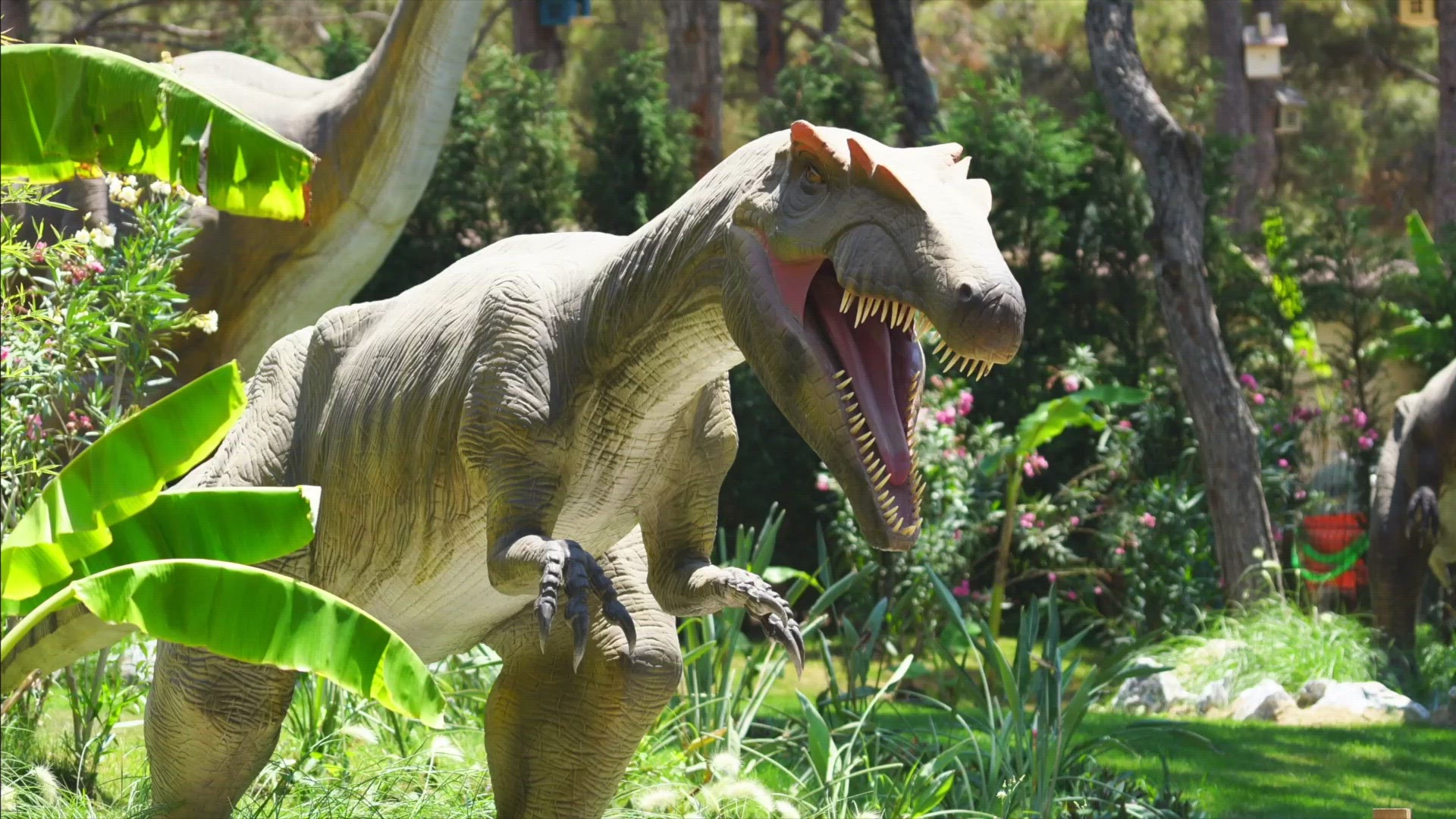 Care to have your own Jurassic Park experience? Buzz60's Maria Mercedes Galuppo has the story.