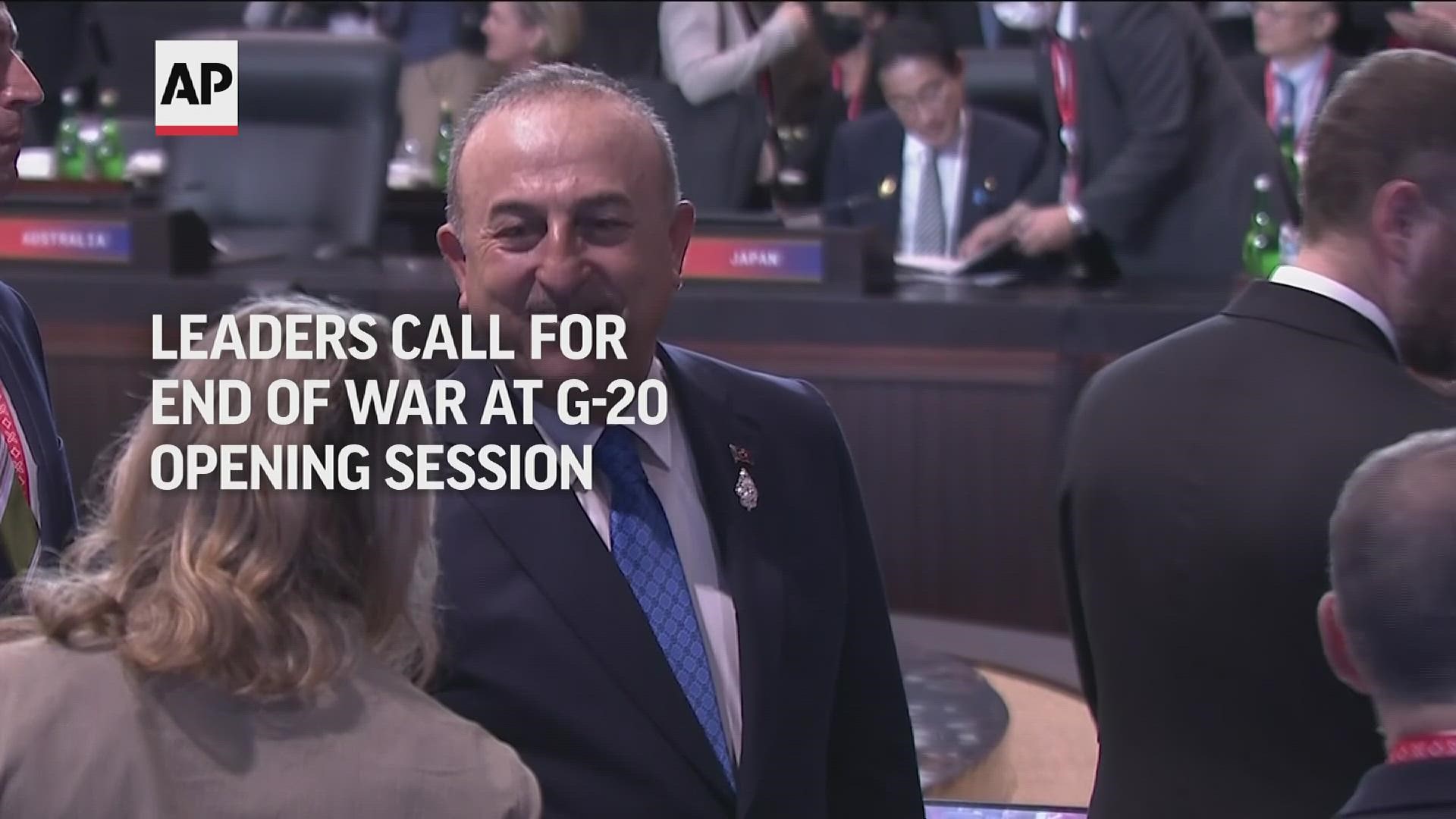 As leaders of the world's largest economies gather for the G-20 summit, some are calling for an end to Russia's war in Ukraine.