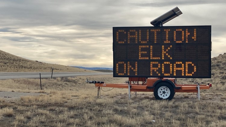 Wyoming has a new app for claiming roadkill