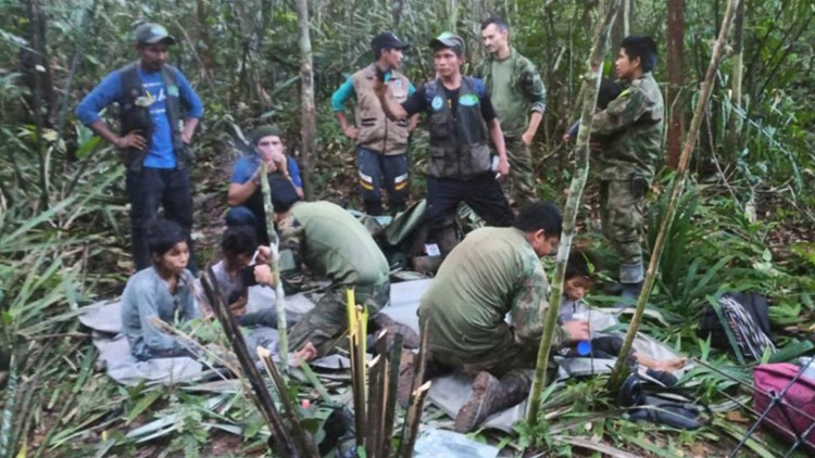 4 children lost in the jungle for 40 days after a plane crash are found alive in Colombia