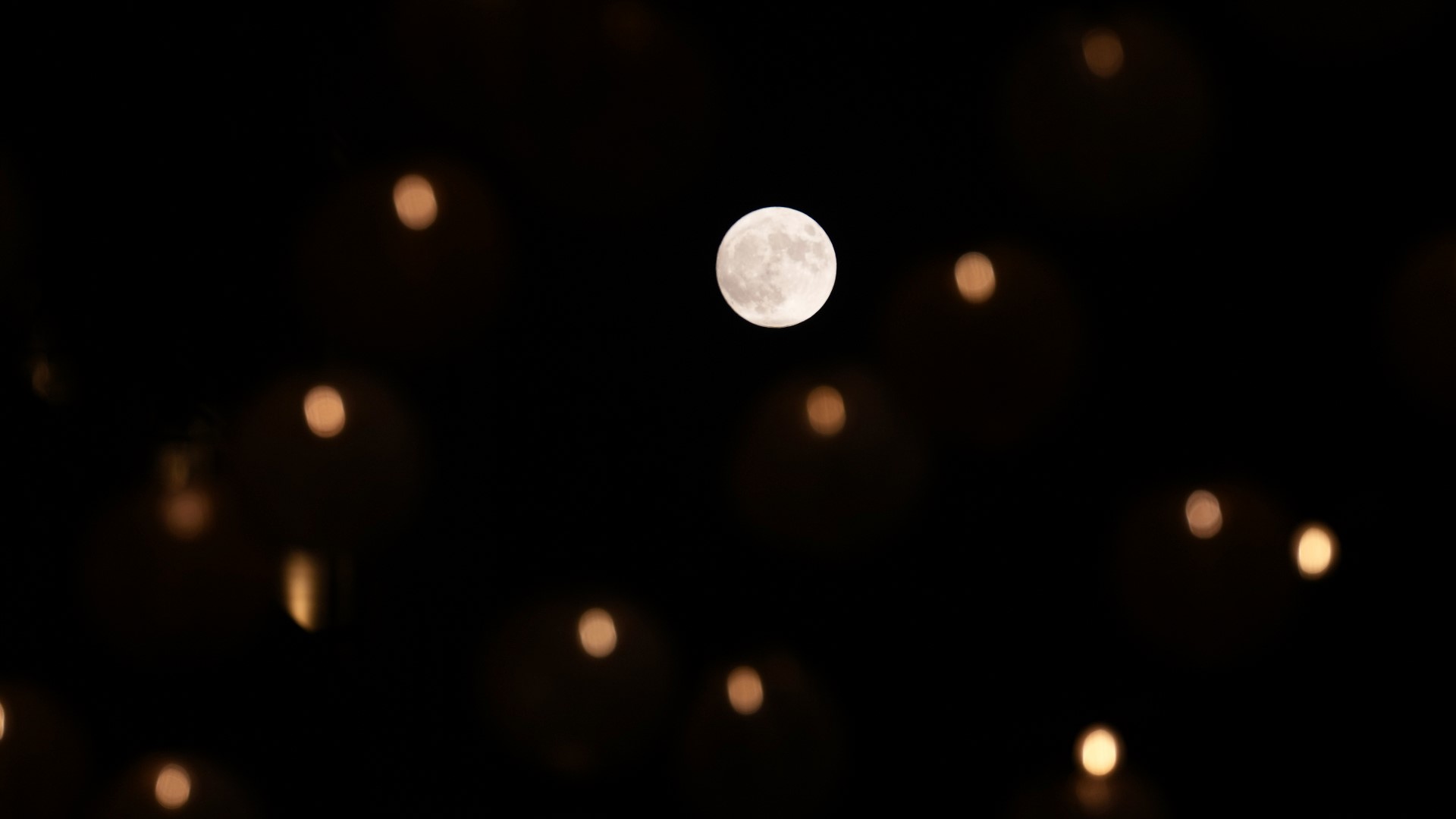 PHOTOS: Rare blue supermoon lights up August night sky | wfaa.com