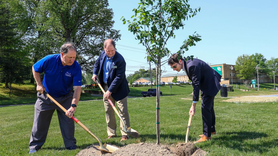 What is National Arbor Day? Holiday encourages tree planting and environmental stewardship