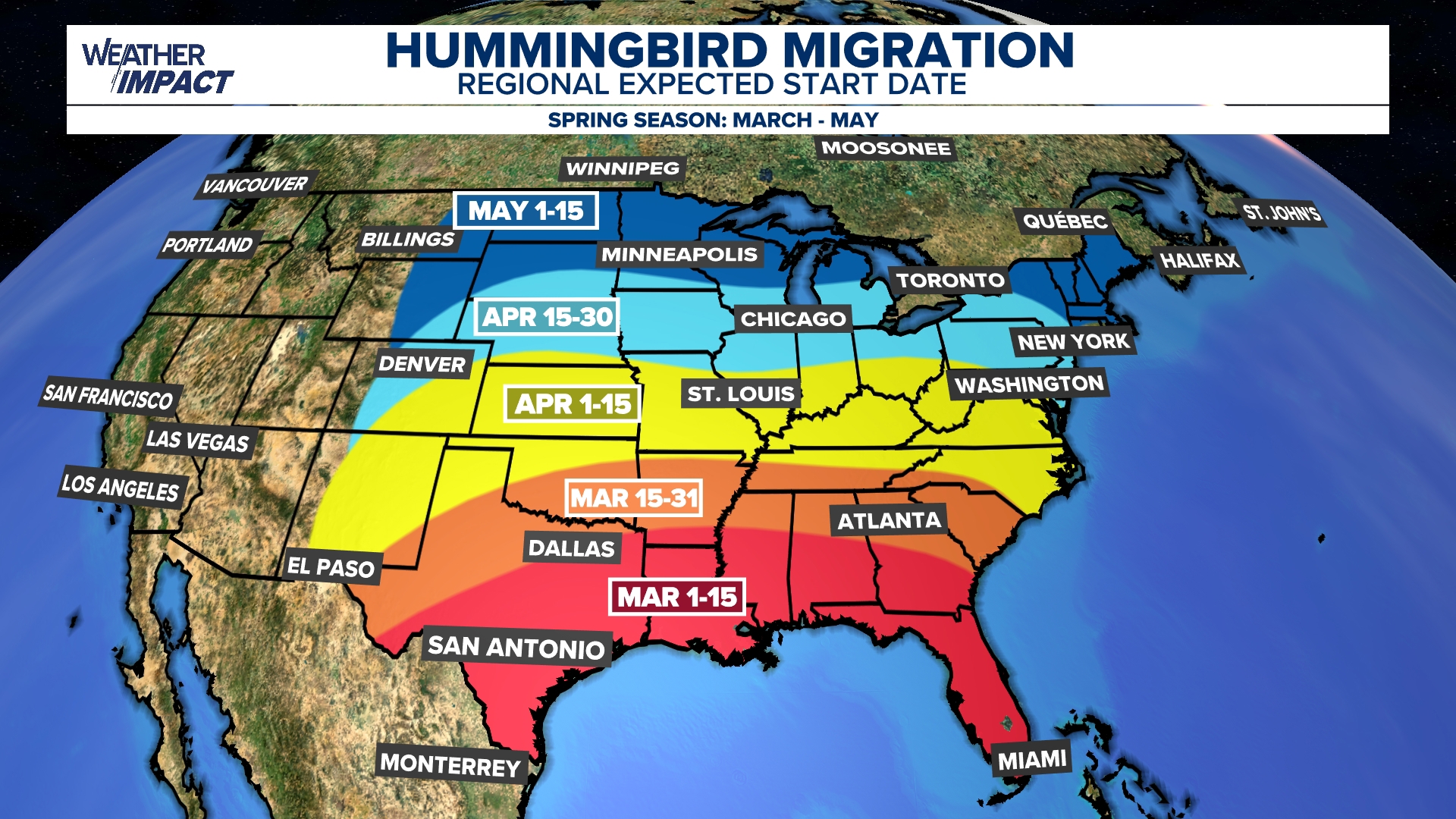 Migration England The ruby-throated hummingbird migration is almost here. Here's what to ...
