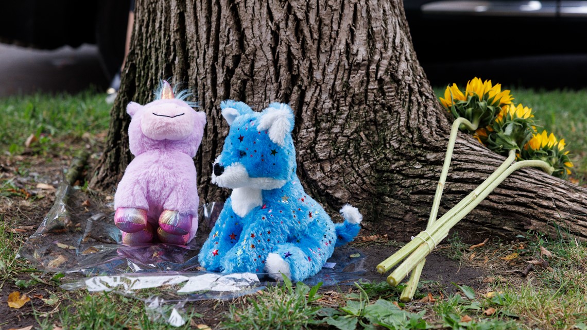 8-year-old girl fatally shot in head in Chicago; gunman arrested - Vimarsana News