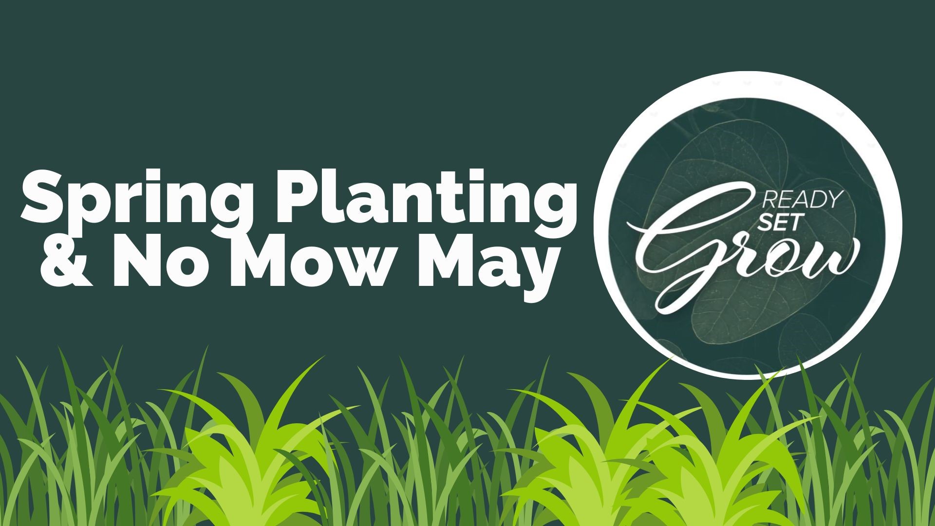 Ready, Set, Grow | Spring Planting and No Mow May | wfaa.com