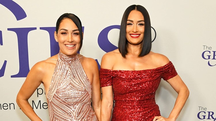 Nikki Bella Says Compromise Is the Key to Marriage