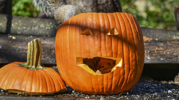 Five ways to recycle your Halloween pumpkins