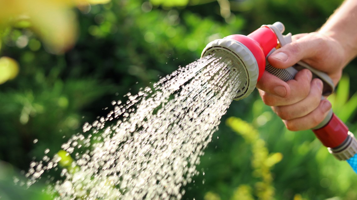 2026 Plano watering schedule released: When you can water based on your ...