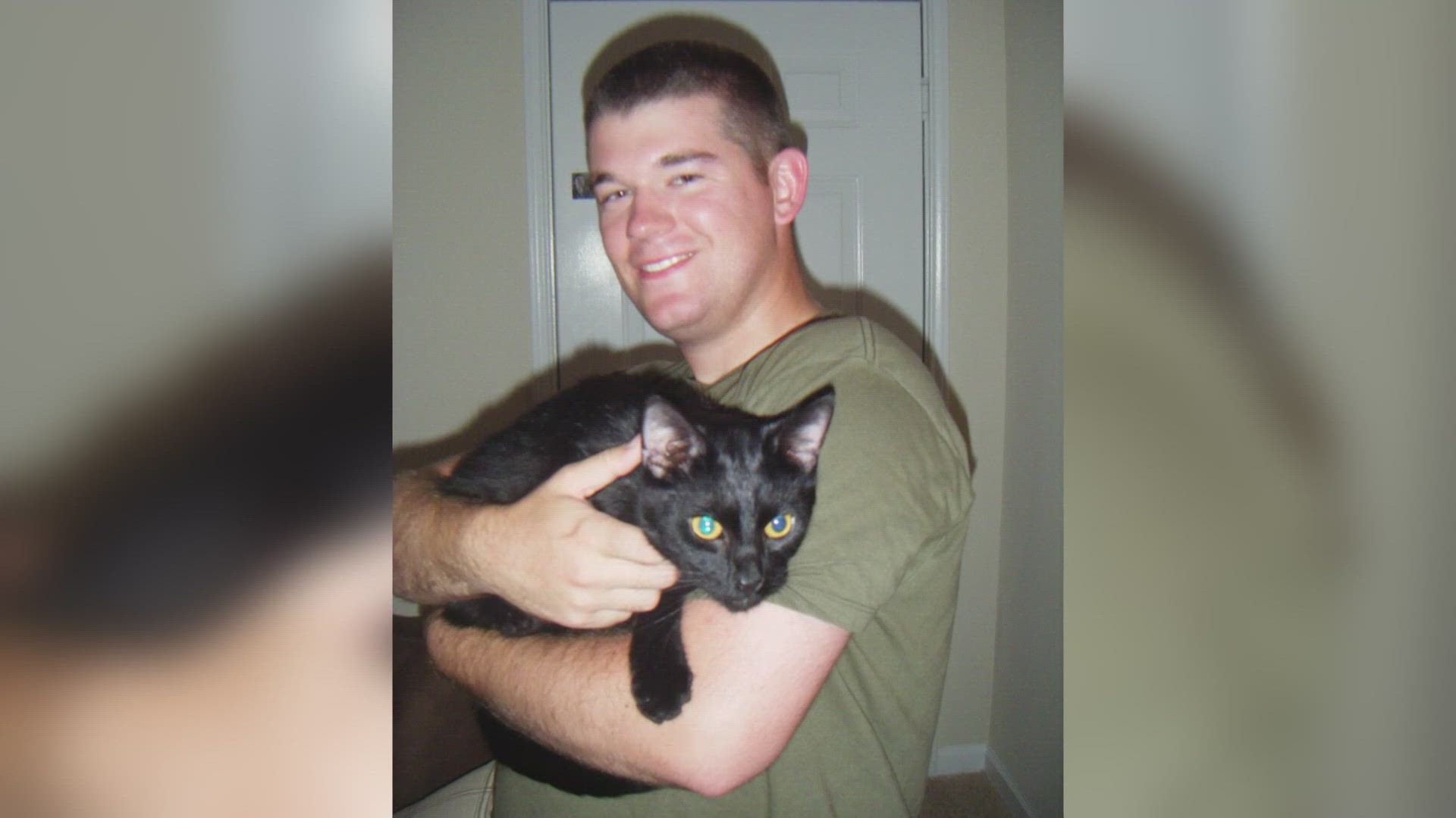 Man drives 16 hours to reunite with missing cat of seven years
