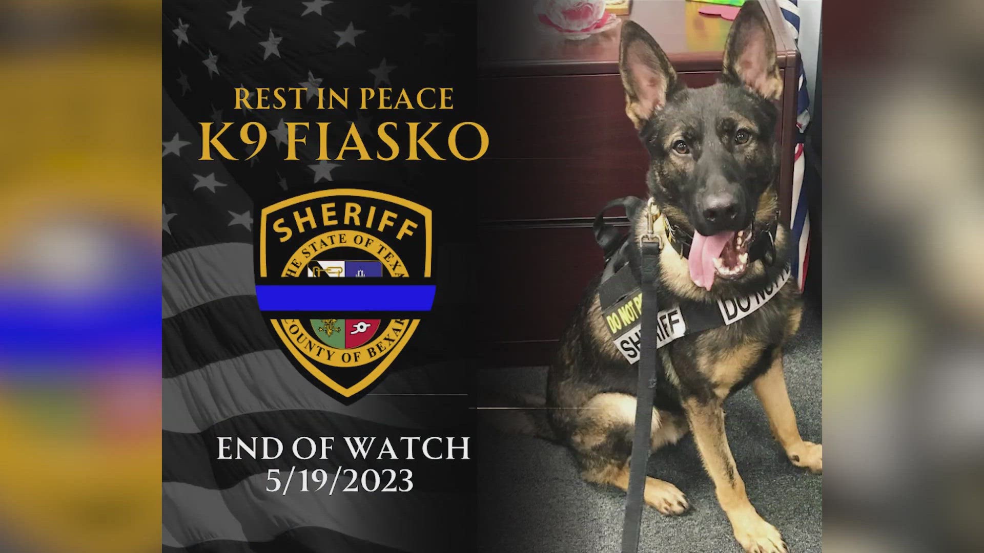 Bexar County K9 Officer Found Dead By Handler, BSCO Says | Wfaa.com