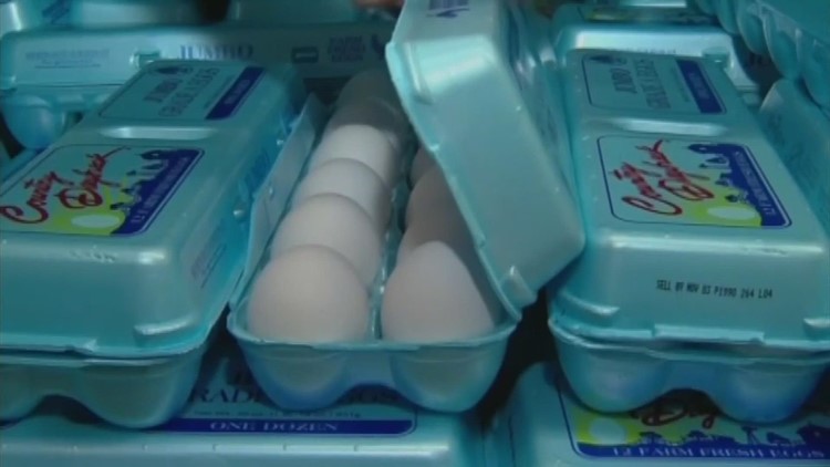 US Customs agents seeing 300% increase in egg smuggling at southern border