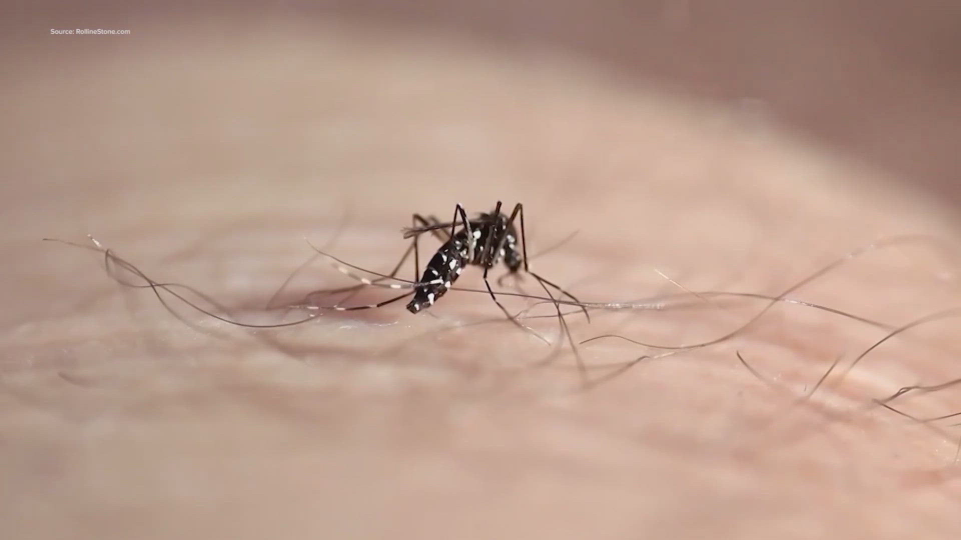 West Nile virus has been confirmed in Tarrant County.