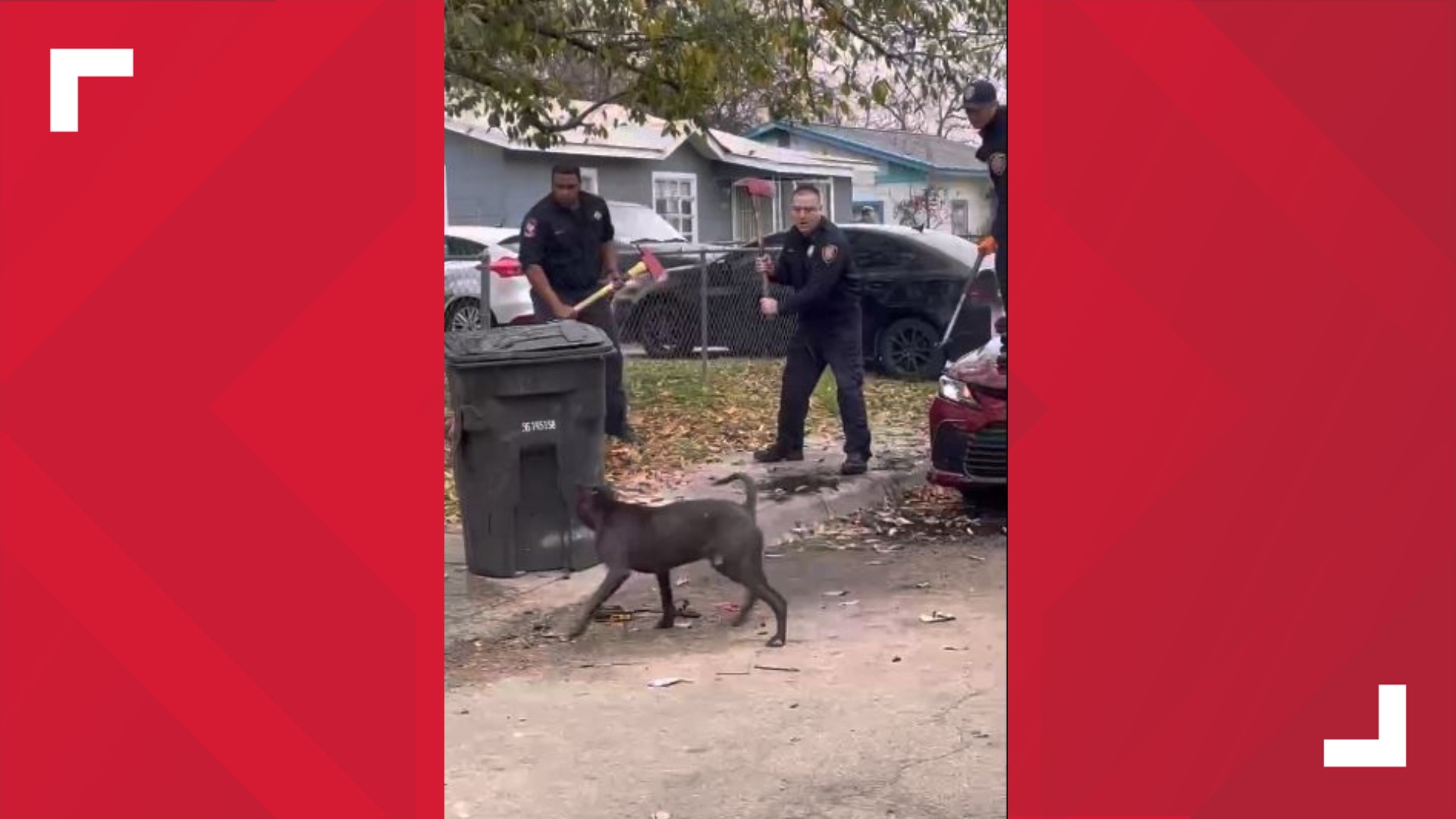 San Antonio Dog Attack: One killed, three injured | wfaa.com