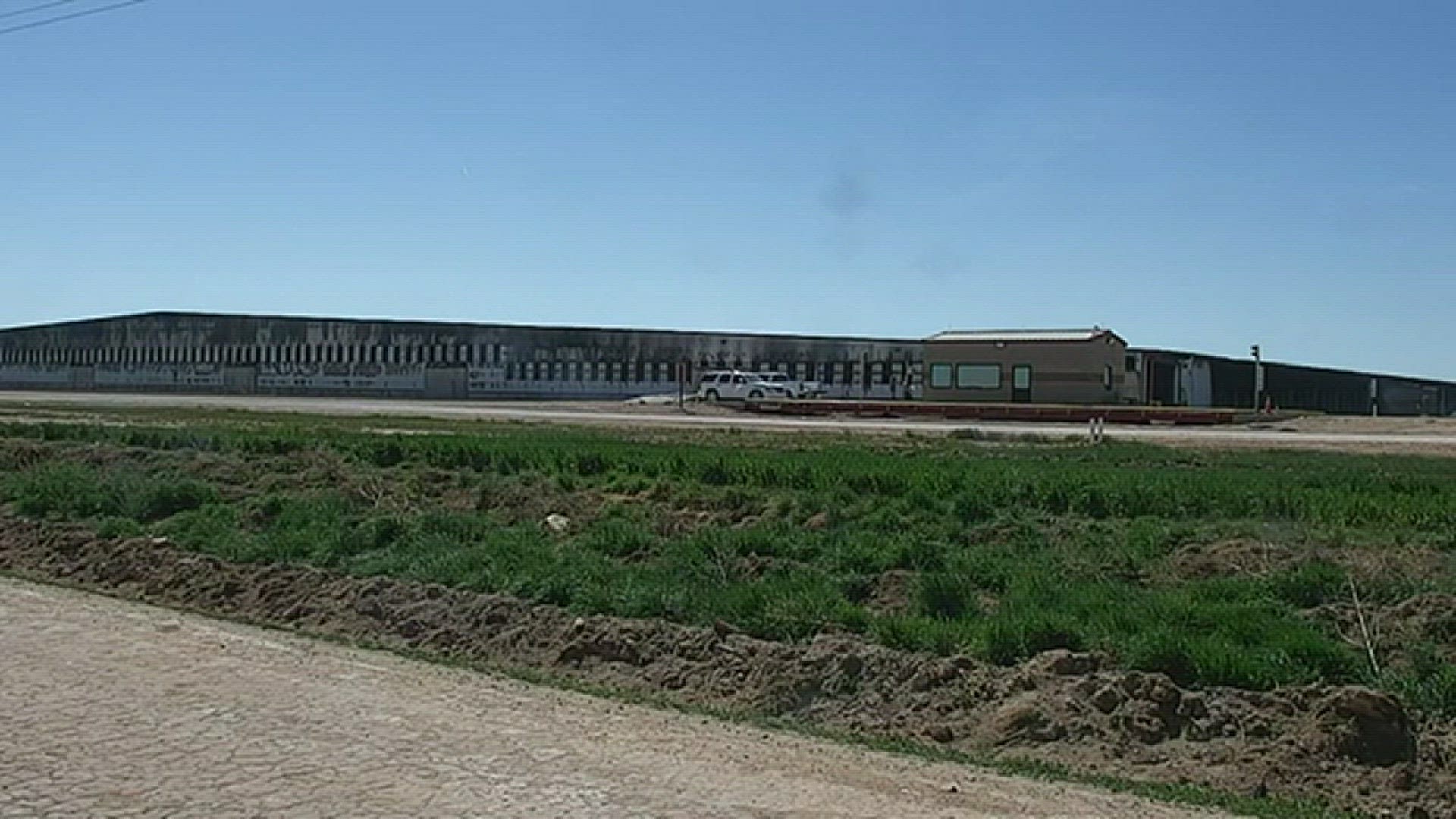 A dairy farm explosion injured one person and killed more than 18,000 cattle in Castro County, Texas on Monday.