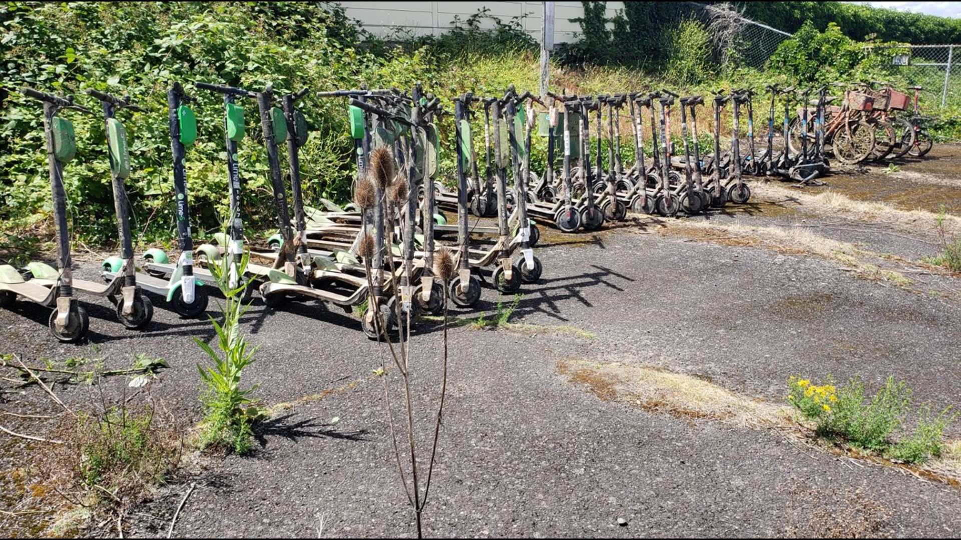 E-scooters, bicycles found in Willamette River in Portland ...