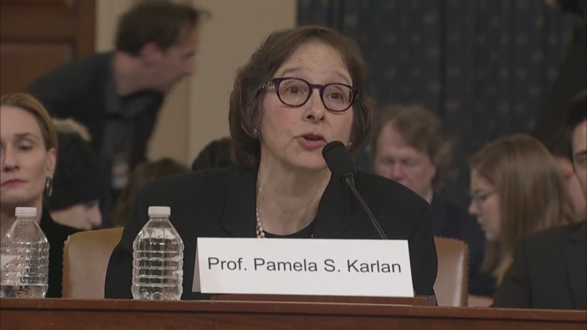 Stanford Law professor Pamela S. Karlan invoked Trump's son to make a point about the president's power at the Judiciary Committee's first impeachment hearing.