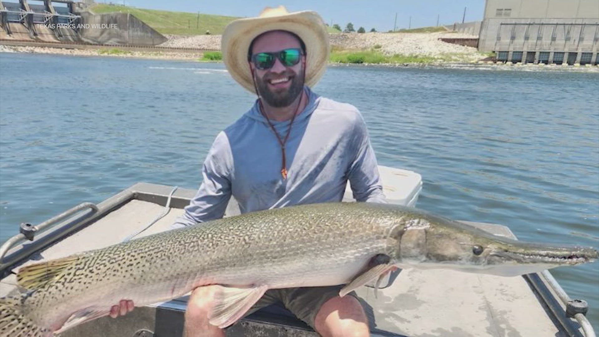 The Texas Parks and Wildlife posted the photo of the angler with his massive catch.  He put it back into the water.