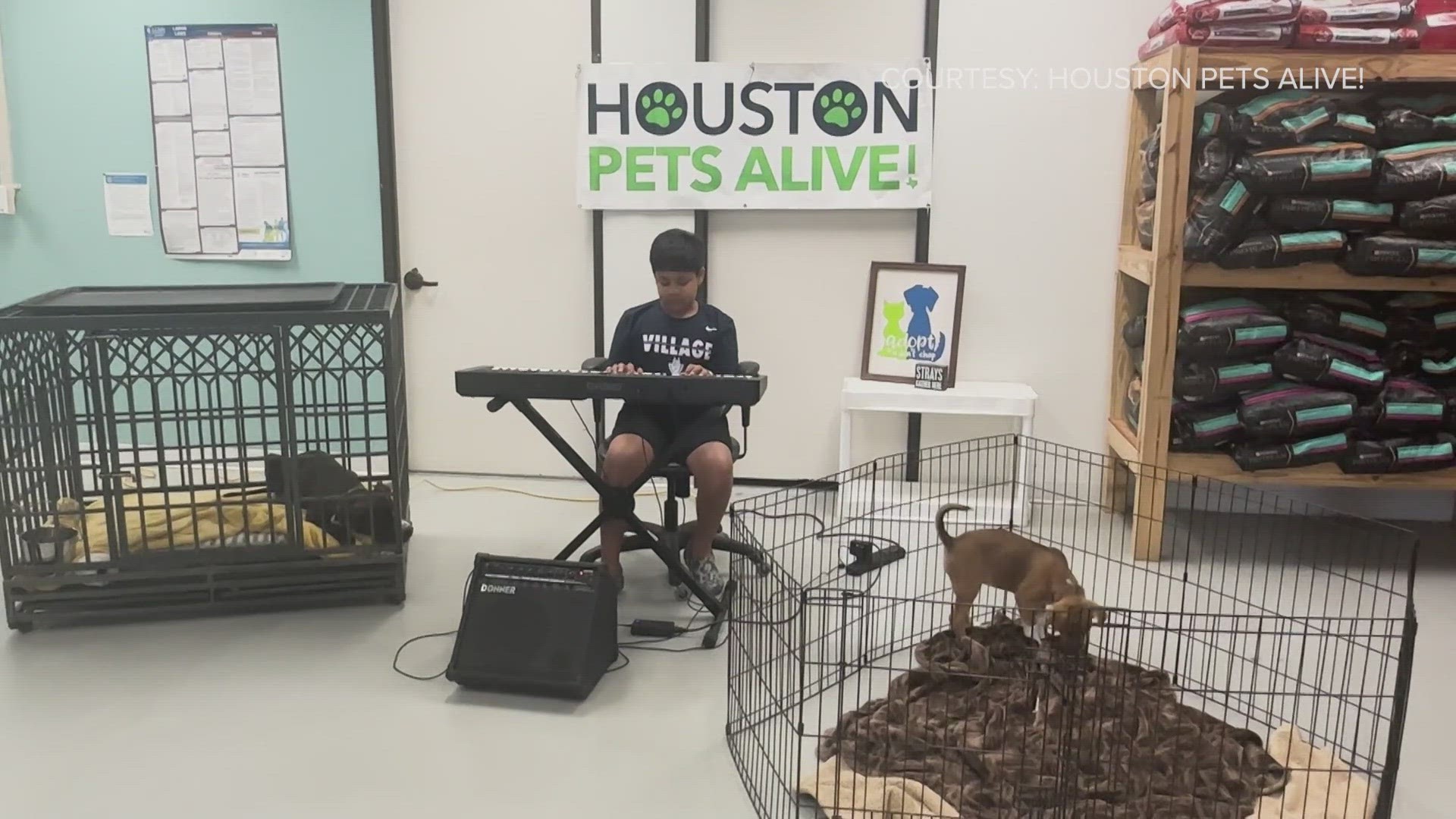 Once a week, Yuvi Agarwal, 10, goes to a local shelter to play the piano for shelter dogs. He has created a program called "Wild Tunes."