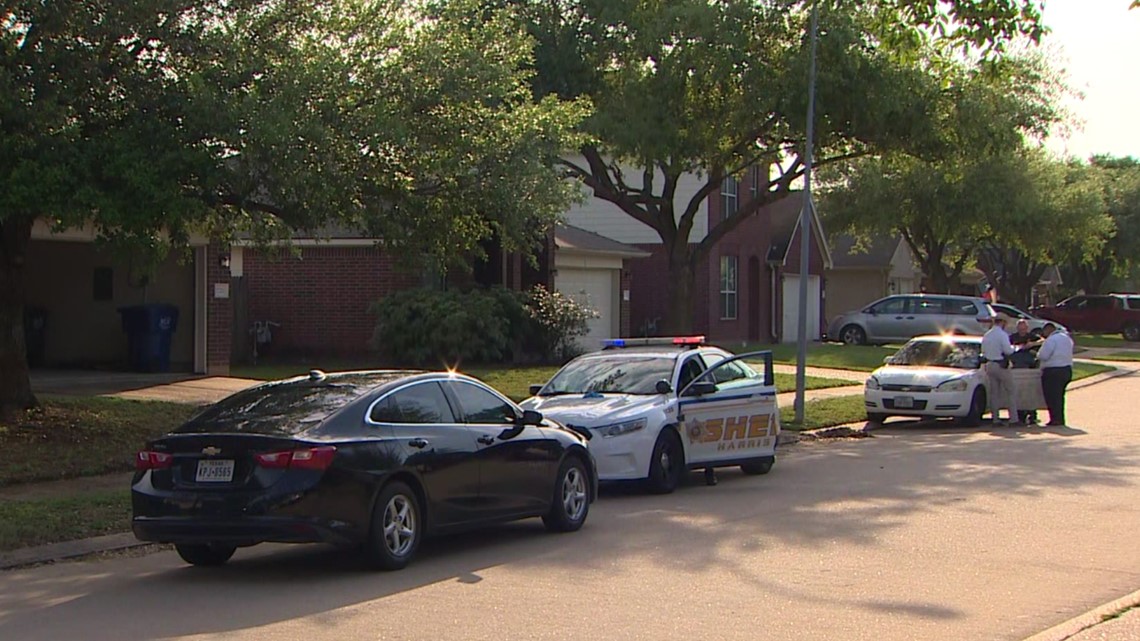 Houston, Texas crime: Woman stabbed by two children | wfaa.com