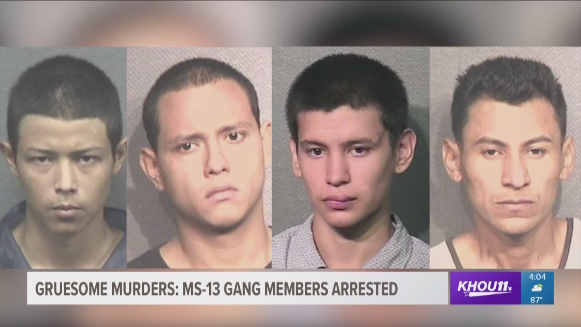 'Worst of the worst': 9 alleged MS-13 gang members charged with 5 area ...