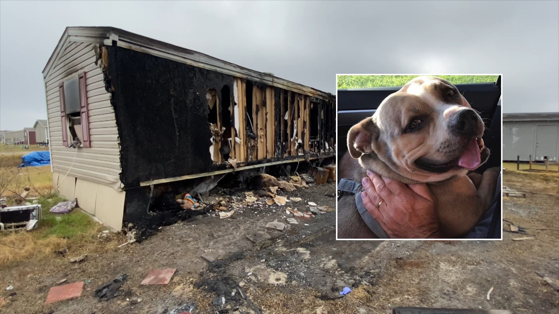 Dog in Texas dies after saving girl from family's burning home | wfaa.com