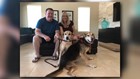 Bonded senior dogs finally adopted after 10 years without a home
