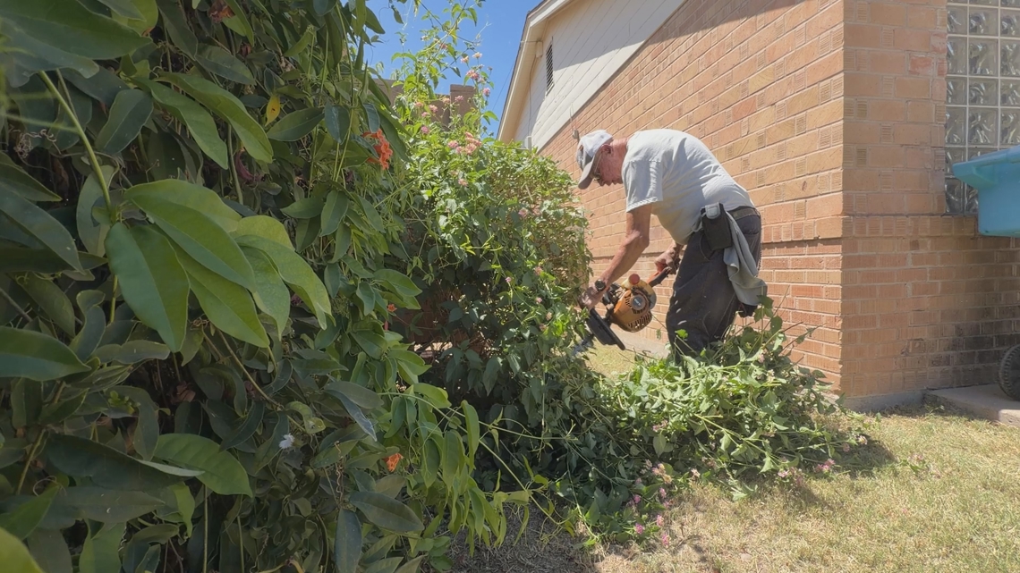 70-year-old Arizona landscaper left unconscious after bee swarm attack
