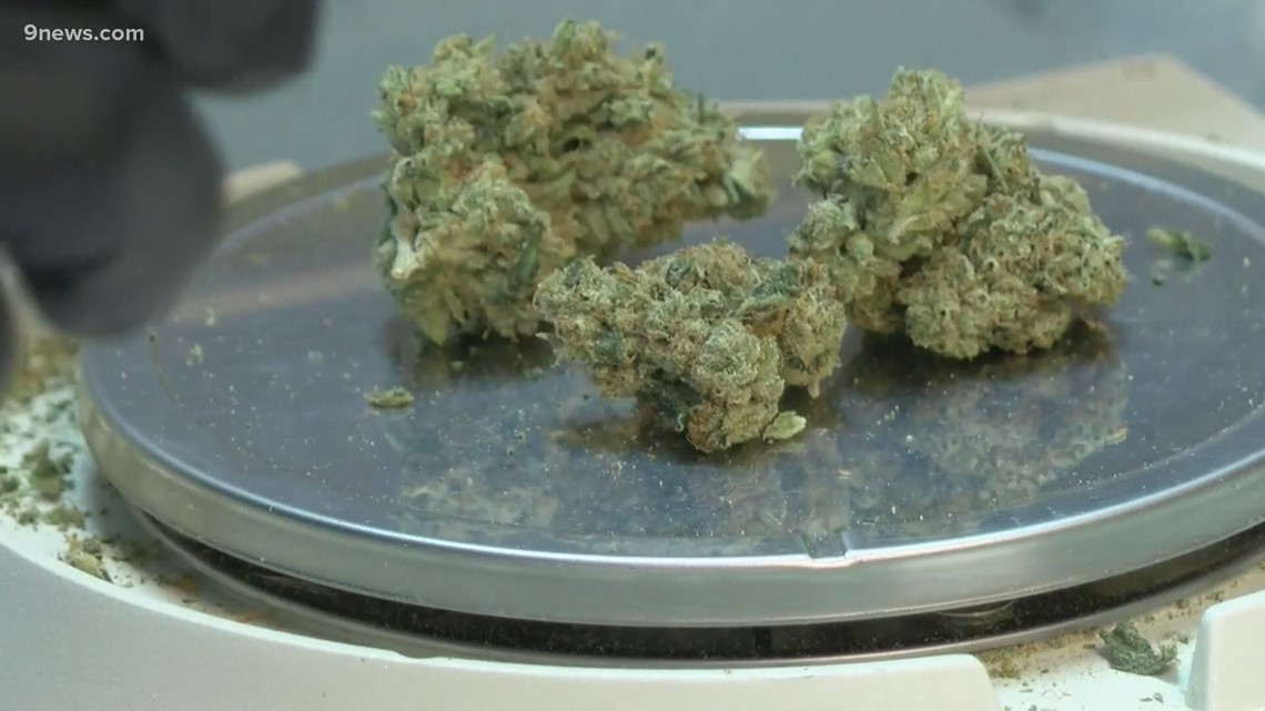 SMU study on marijuana-related arrests in Dallas County - Vimarsana News