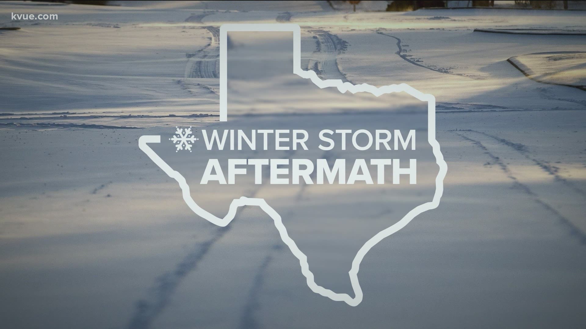 There is now a petition calling for an independent investigation into what went wrong during February's deadly winter storms.