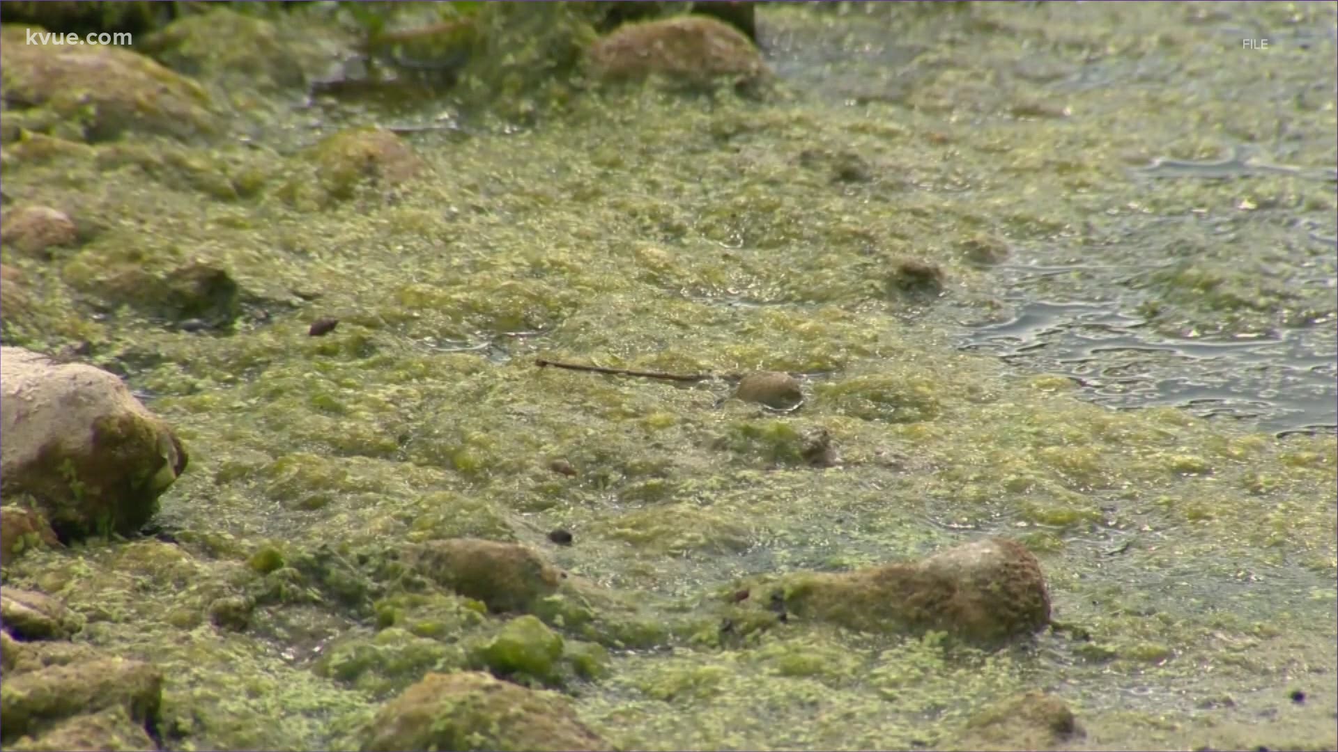 The Texas House just passed the first legislation ever to limit sewage discharge permits on the state's most pristine streams.