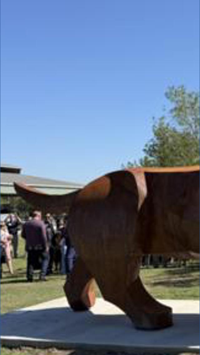 Buda’s newest landmark is a 19-foot-long wiener dog | wfaa.com