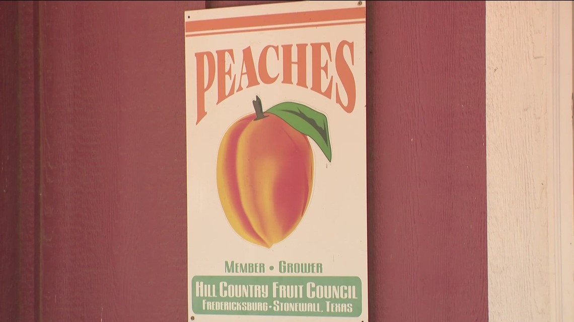 Fewer Fredericksburg peaches this year due to weather conditions - Vimarsana News