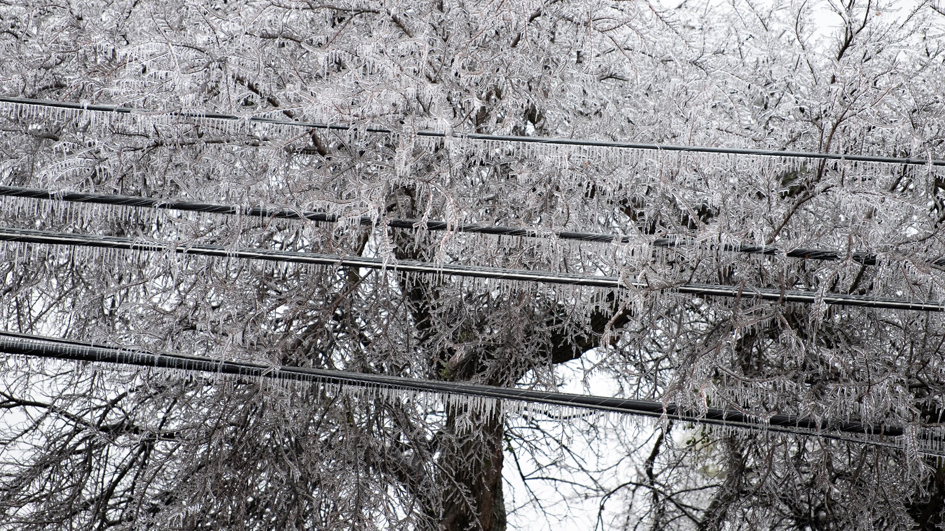 MIT researchers say connecting the Texas power grid to the rest of the country could have kept power on for millions during the 2021 winter storm.