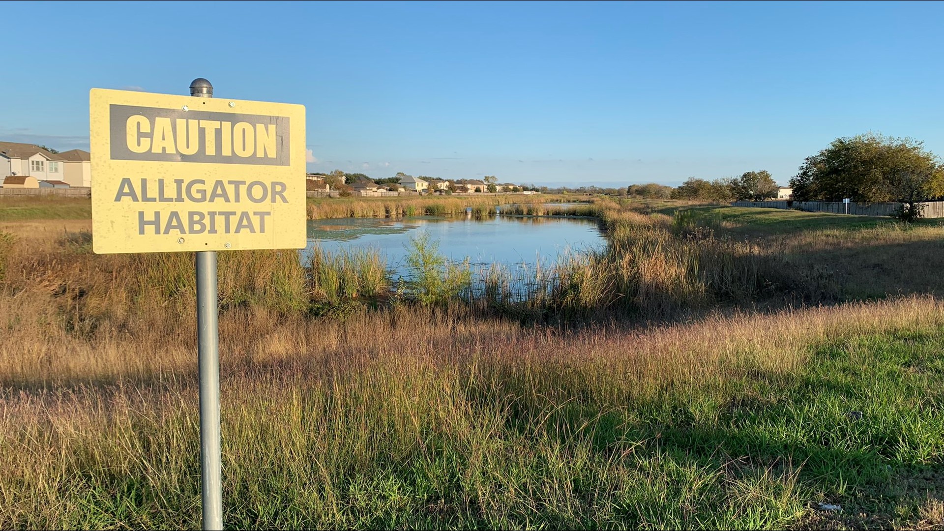 TPWD game wardens found evidence of alligators living in a Del Valle retention pond, but could not prove they attacked a pet.