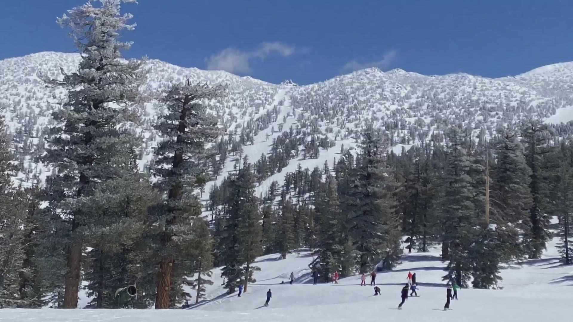 A new study released by U.C. San Diego's Scripps Institution of Oceanography shows the Sierra Nevada snowline rising 1600 feet by the end of the century.