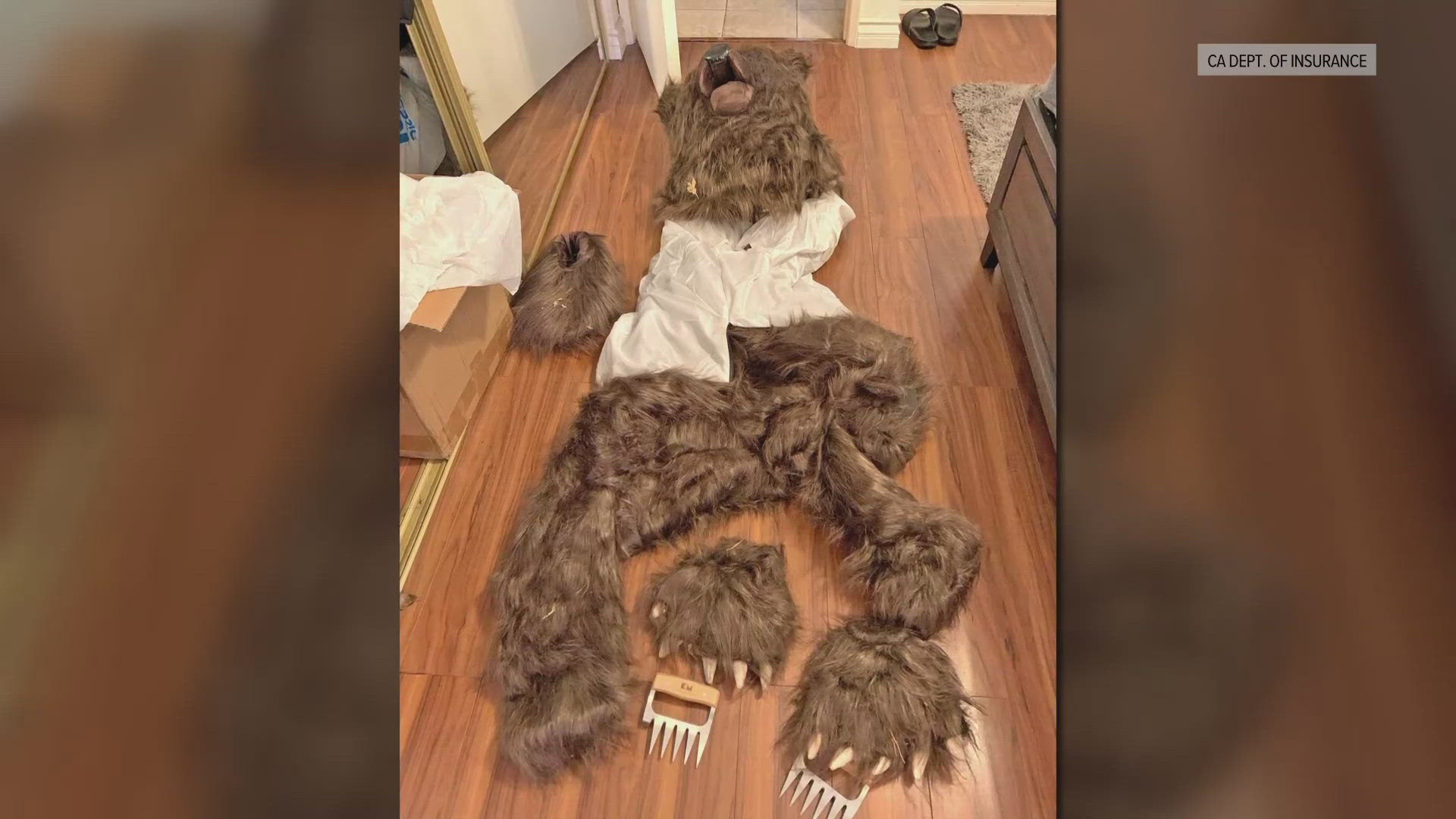 A bear costume was at the center of an alleged insurance fraud bust in Los Angeles Wednesday.