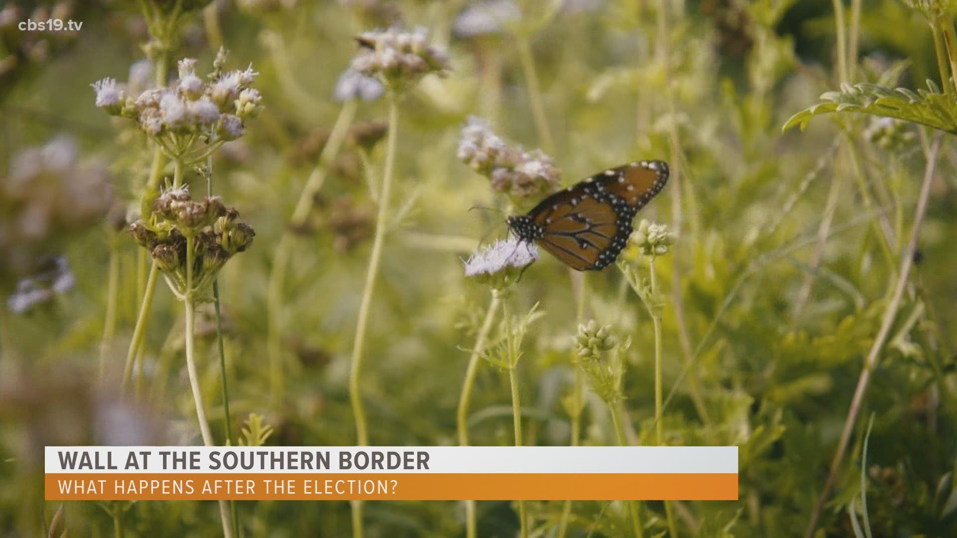 For three years, the North American Butterfly Association has been in court fighting the government to protect the center's private property.
