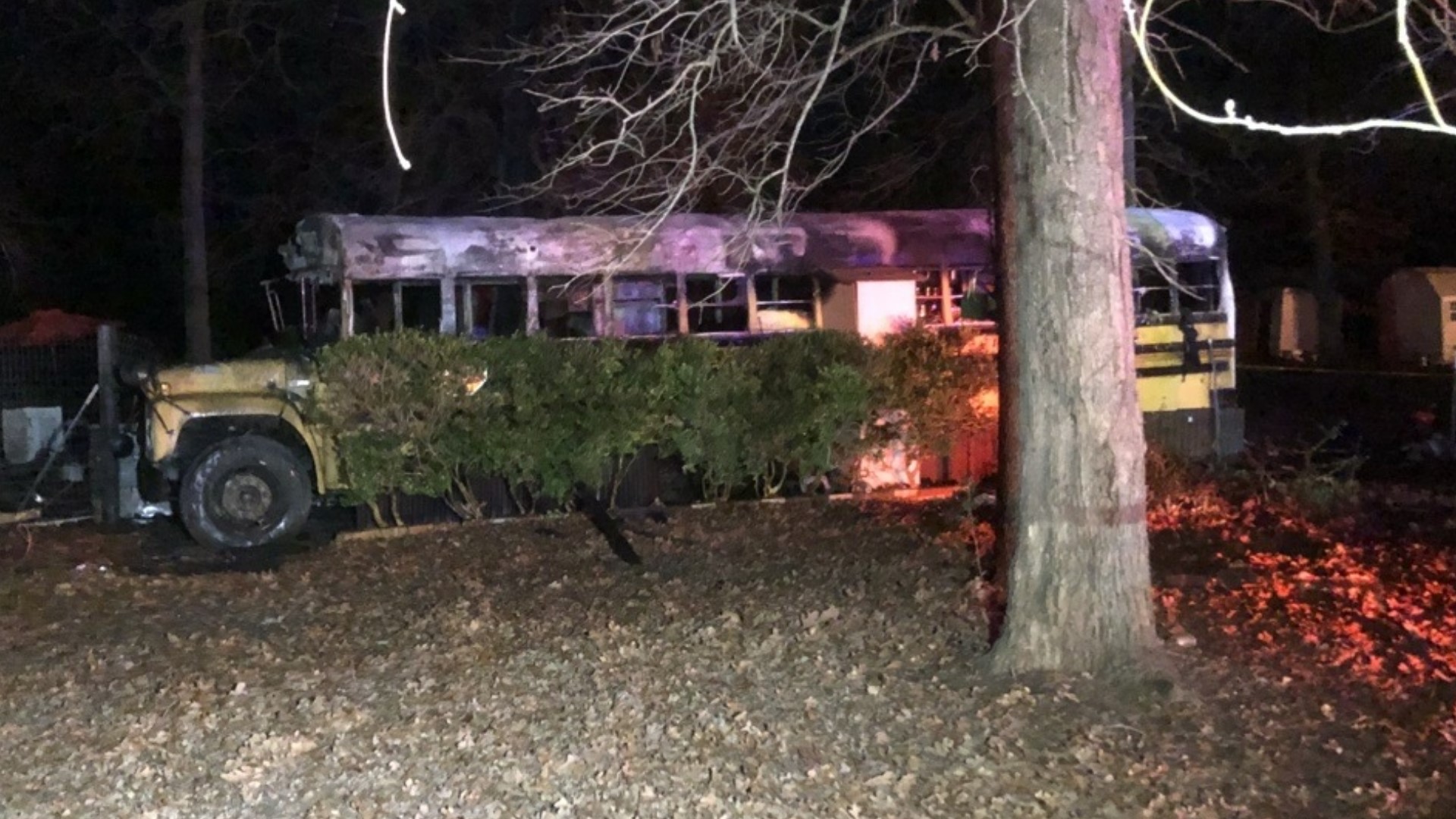 1 woman injured, 2 dogs dead after bus catches fire | wfaa.com