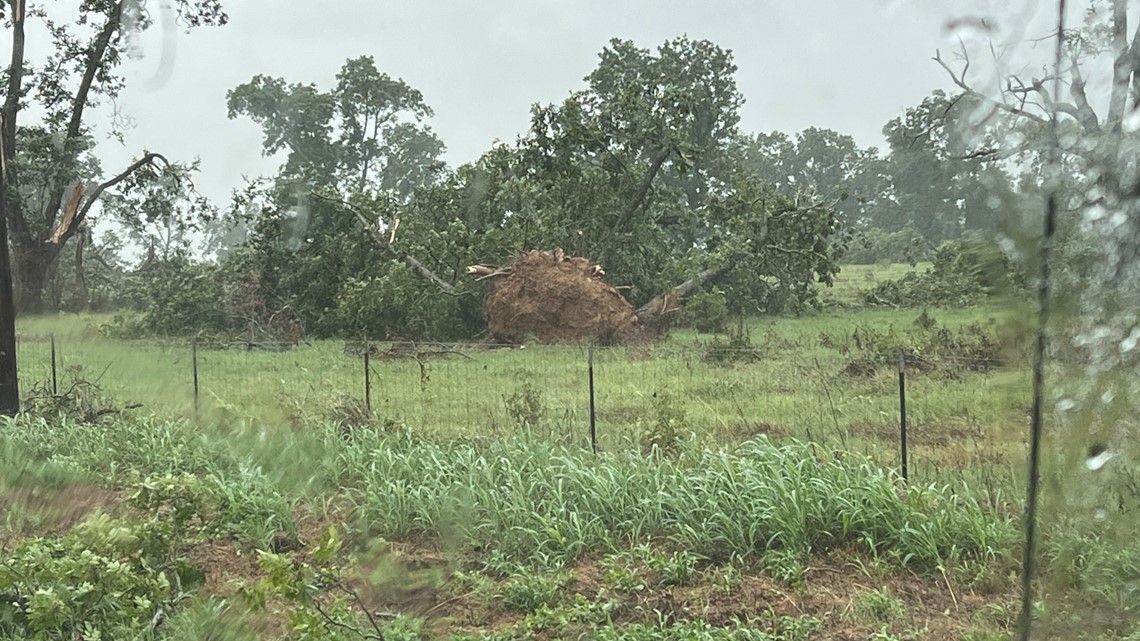 Tornado confirmed in Winona - Vimarsana News