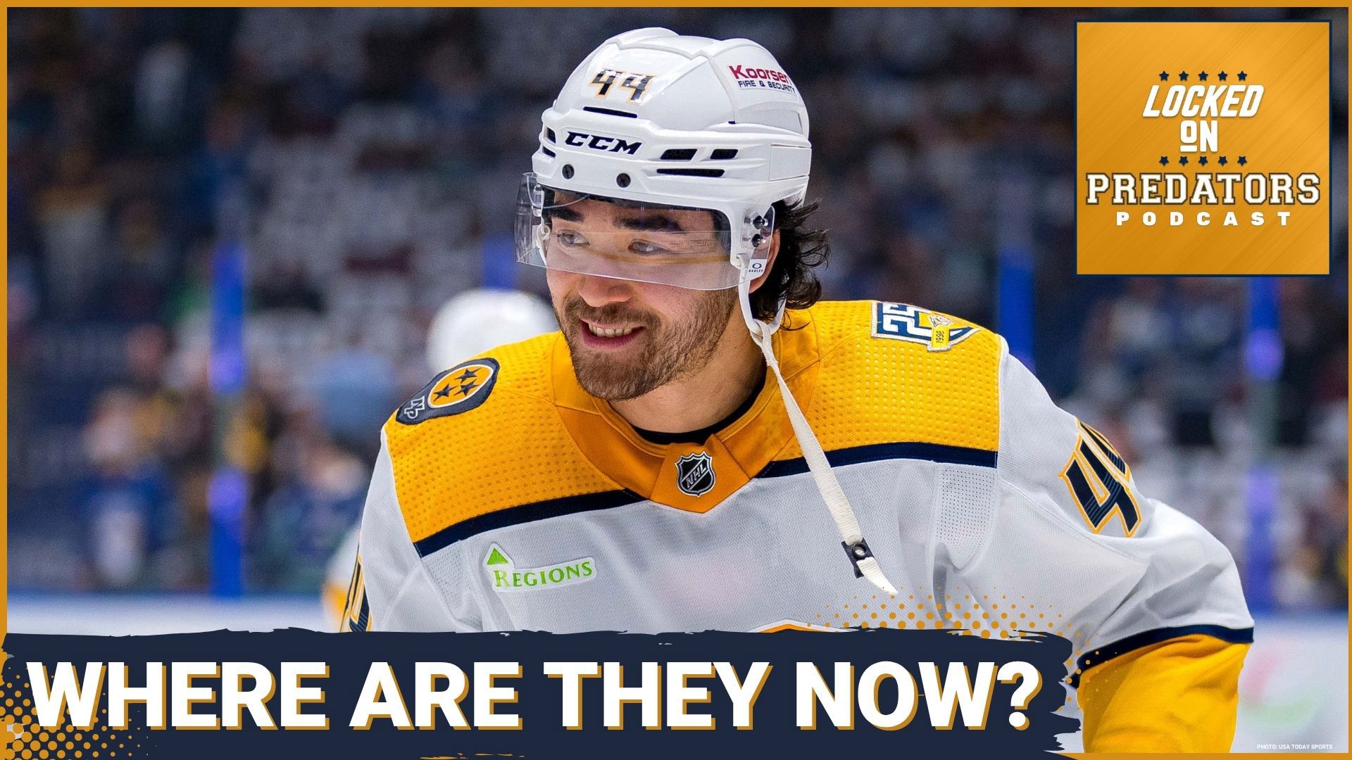 Nashville Predators' roster shakeup: Former players shine elsewhere. Is the team's development strategy flawed?