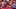Could Ohio State WR Marvin Harrison Jr Win the 2023 Heisman Trophy? | Ohio State Buckeyes Podcast