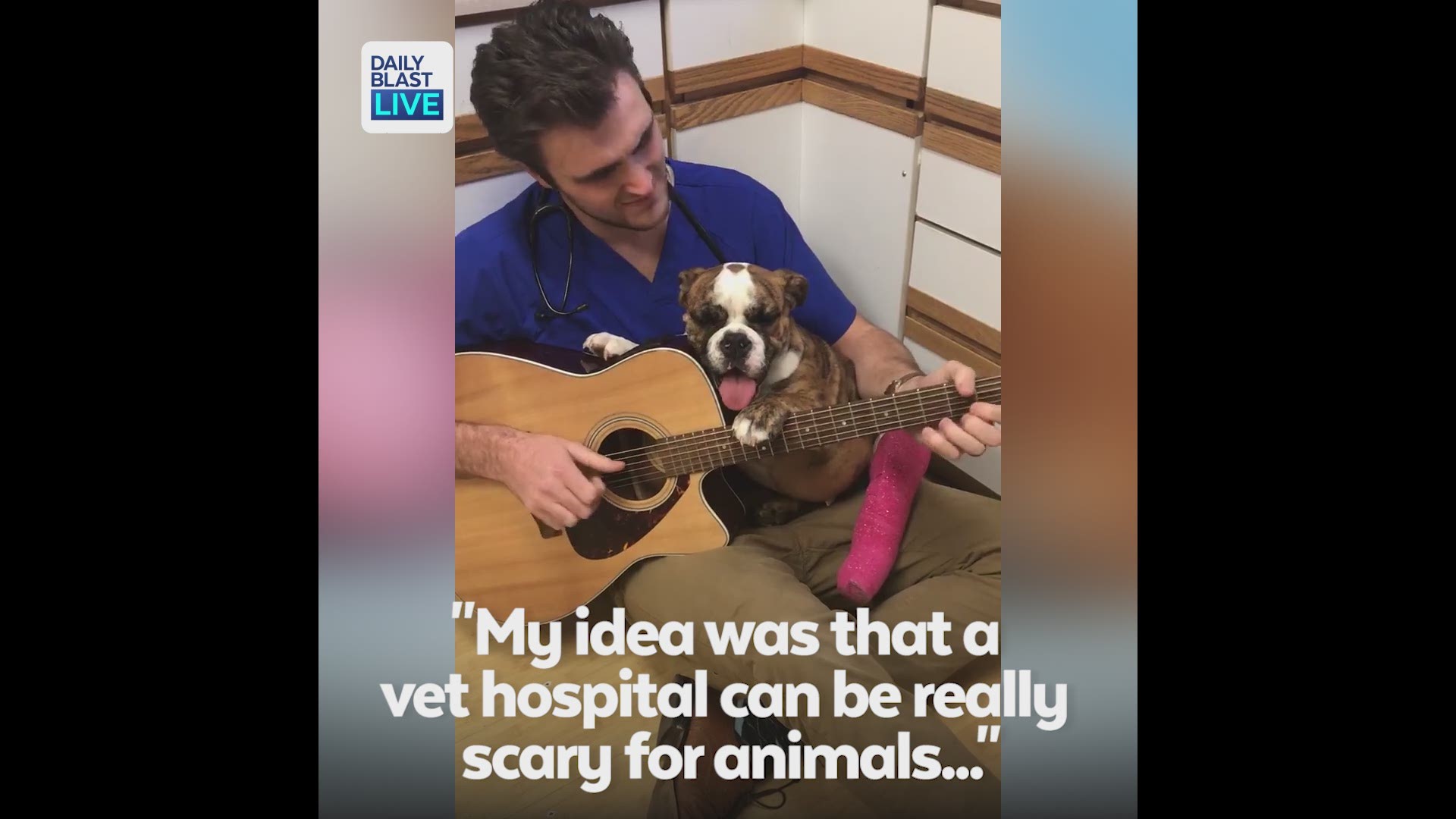 These scared pups are put as ease when their veterinarian breaks out his guitar.