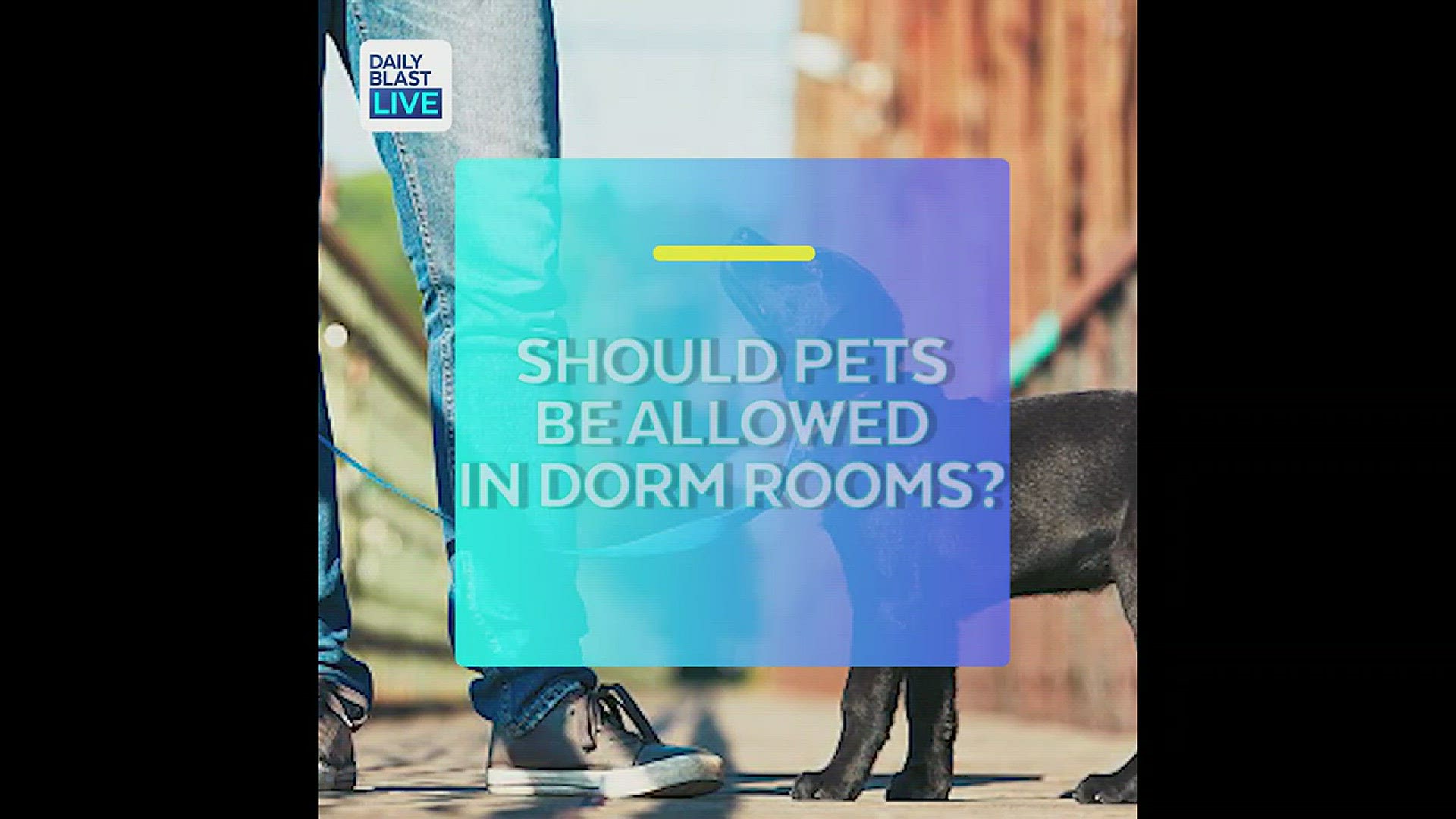 Some colleges are making "pet friendly" dorm rooms.