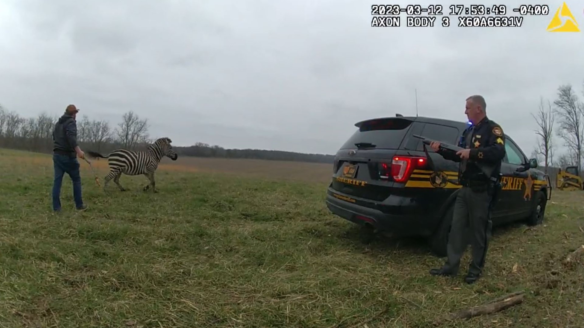 Authorities say a zebra attacked its owner at a Pickaway County home and bit the man’s arm before it was fatally shot by a sheriff’s deputy.