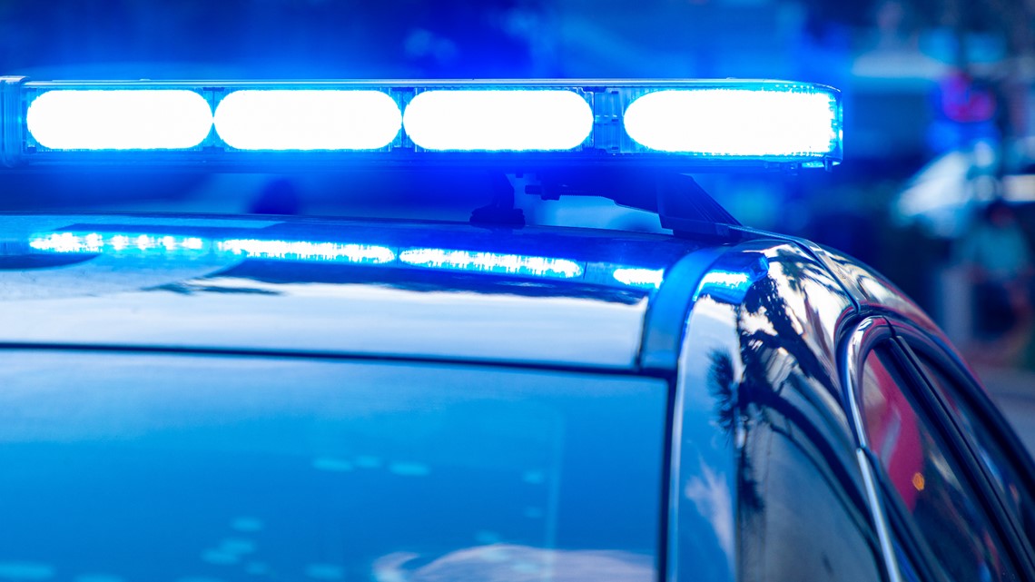 12 horses, 24 dogs found dead on Collin County, Texas property - Vimarsana News