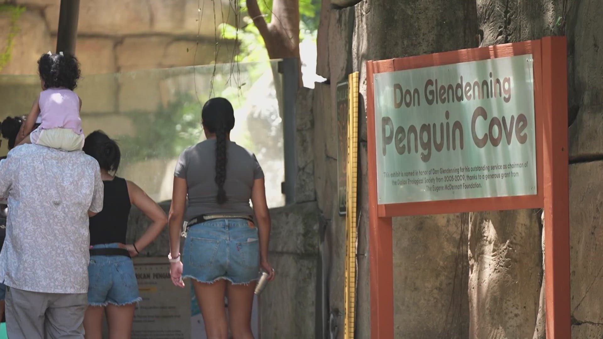 From now until the end of August, general admission to the zoo is $15.