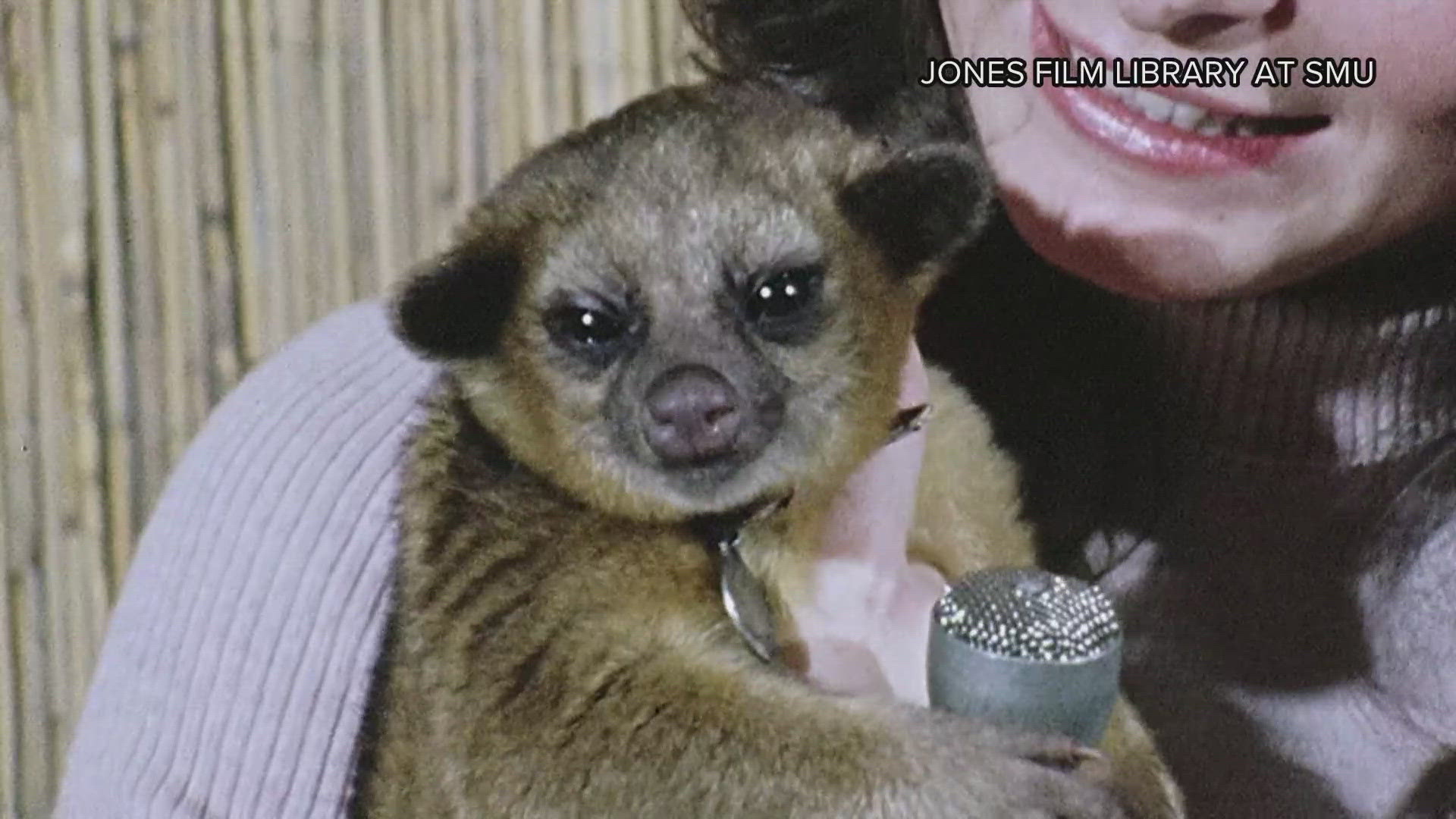 Nothing goes viral quite like a cute animal, but WFAA's history shows cute animals have always been newsworthy.