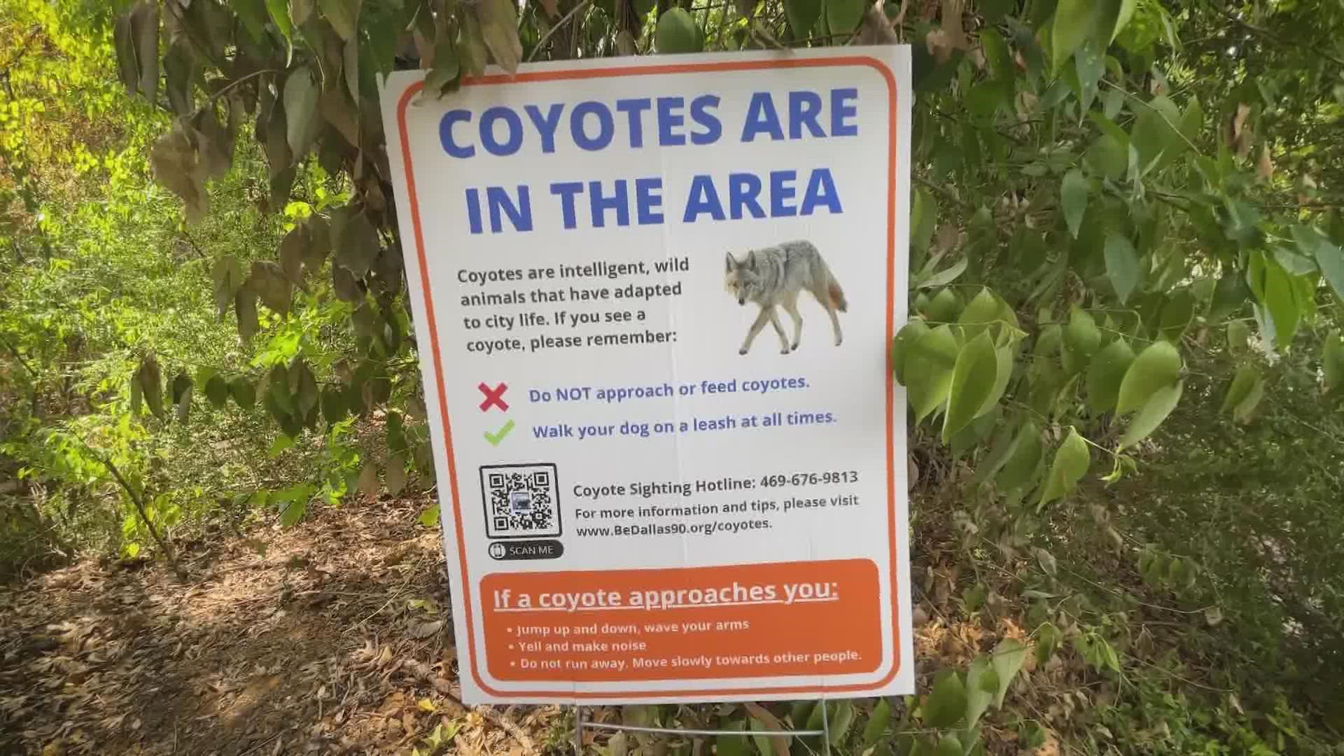 Residents near Peter Pan Park are on high alert after several reports of coyote sightings. Some neighbors say the coyotes have been seen near park playgrounds.